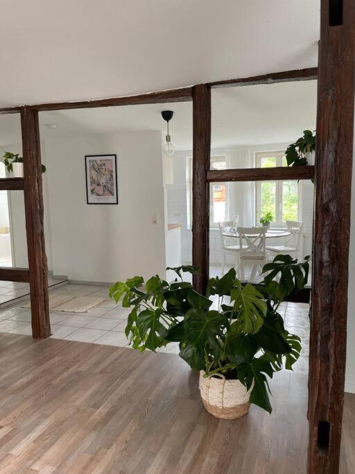 Charming Apartment 블랑켄부르크 외부 사진